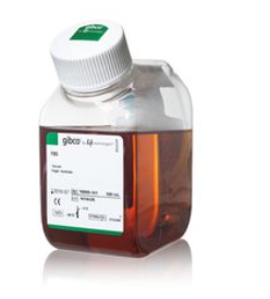 10099141 Gibco Fetal Bovine Serum, qualified, Australia澳洲胎牛血清500ml