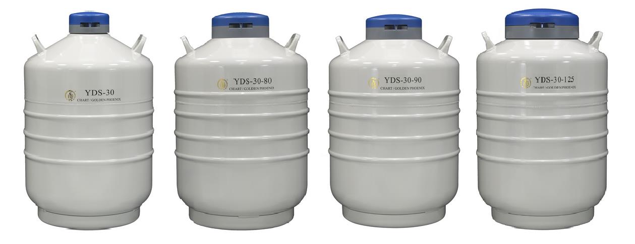 查特金凤液氮罐YDS-30-(80/90/125)存型