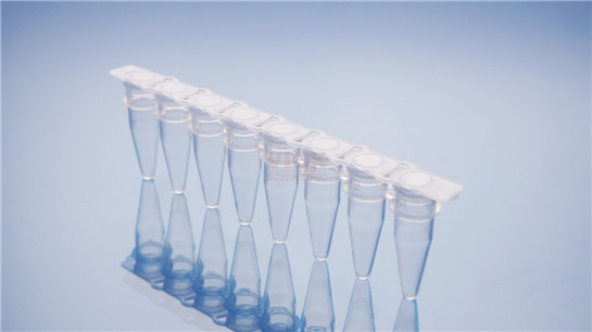 PCR八联排管用于荧光定量PCR检测