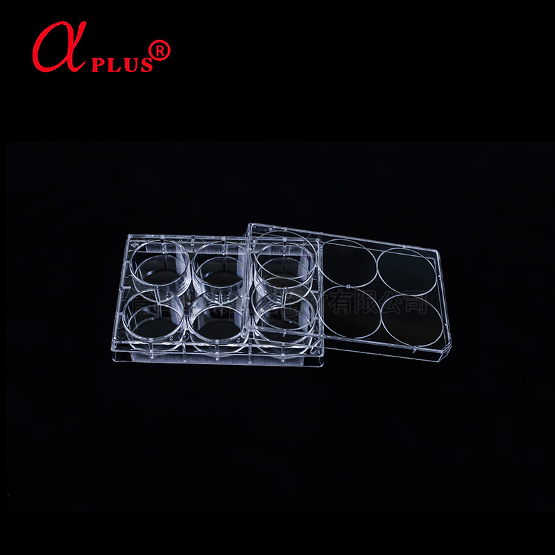 青岛金典（原阿尔发）6孔悬浮细胞培养板 20个/箱 量大价格可议