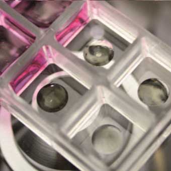 Cellendes细胞水凝胶-3D仿生水凝胶试剂盒