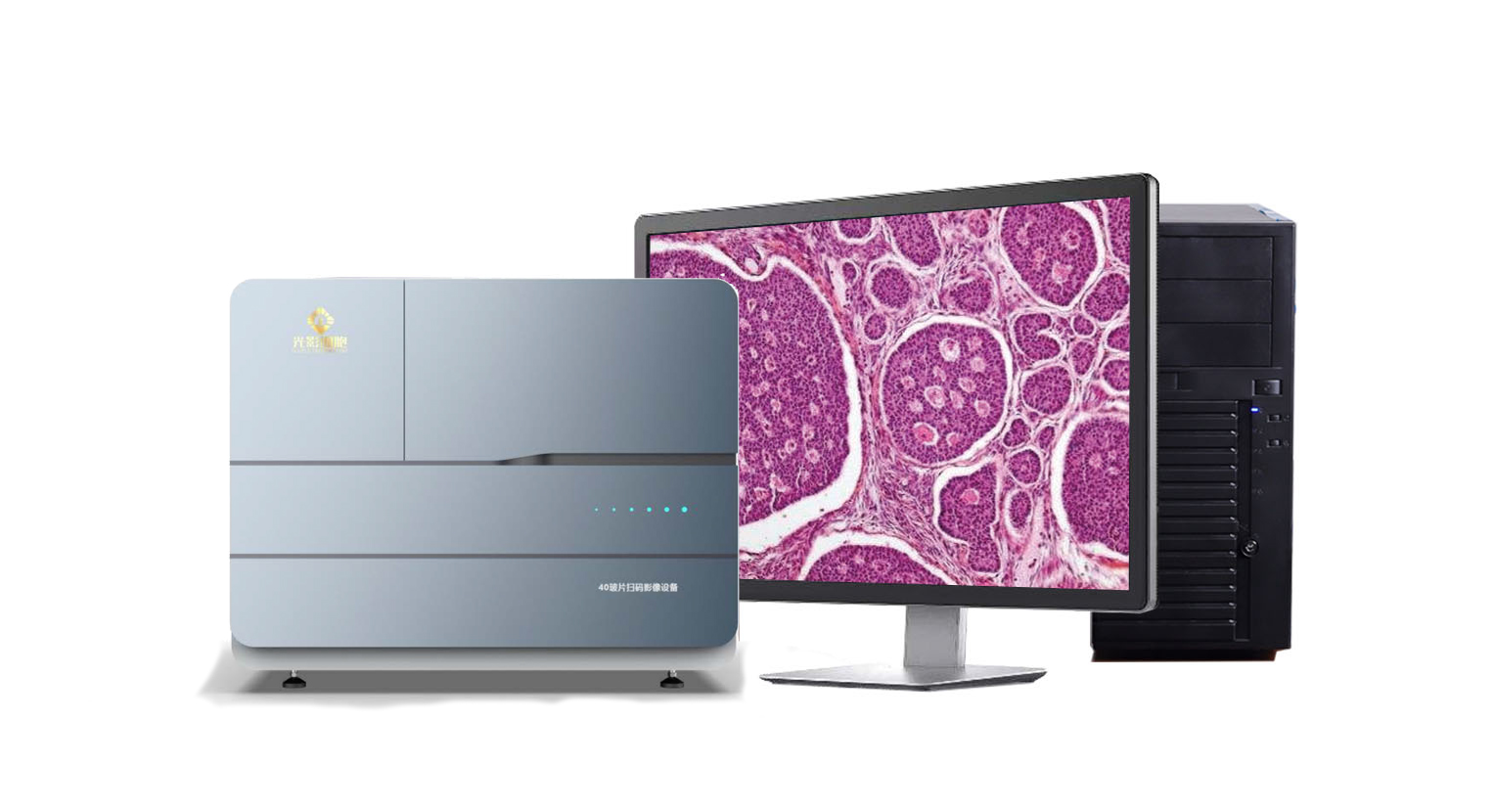全自动玻片扫描影像分析、切片扫描、组织扫描