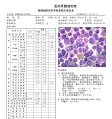 骨髓图文报告管理软件