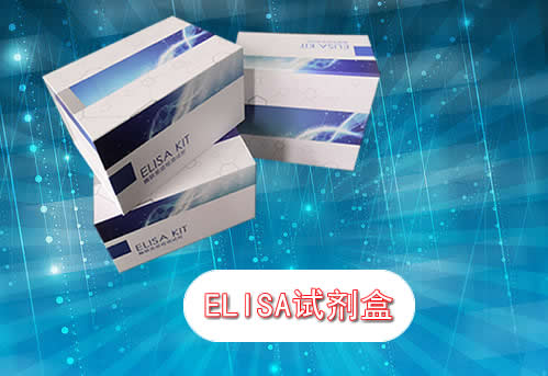 豚鼠内皮素1(ET-1)elisa试剂盒