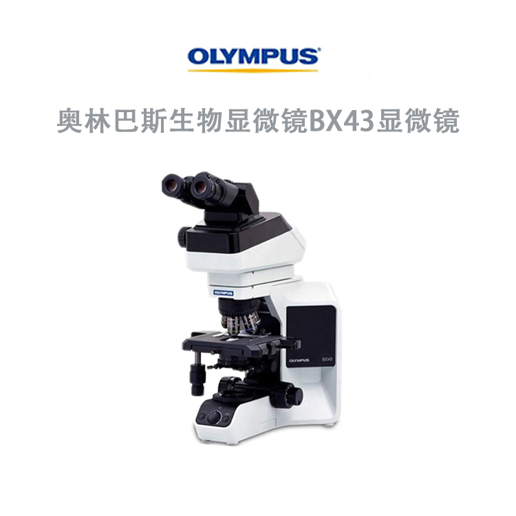 奥林巴斯生物显微镜BX43显微镜