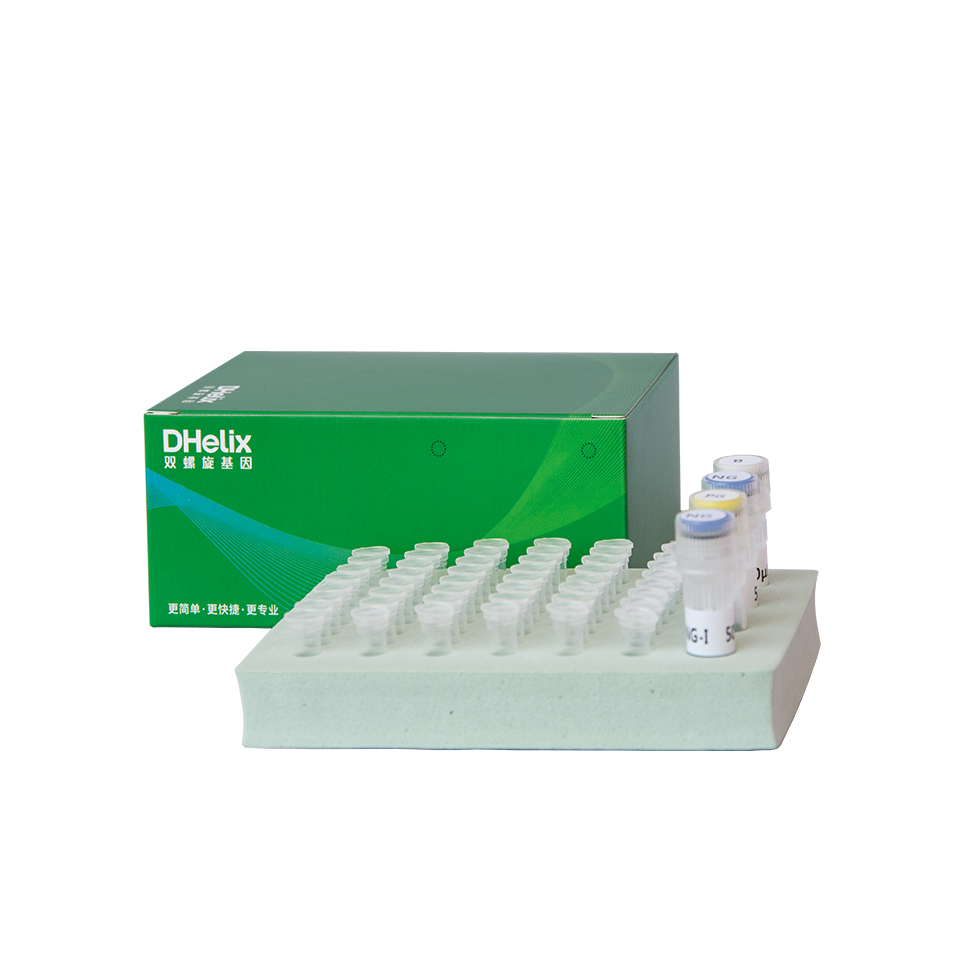 创伤弧菌核酸检测试剂盒（恒温荧光法）