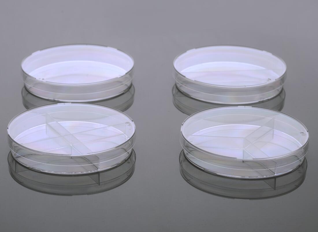 35mm 细菌培养皿