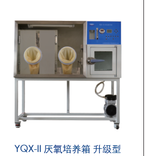 上海跃进厌氧培养箱YQX-I