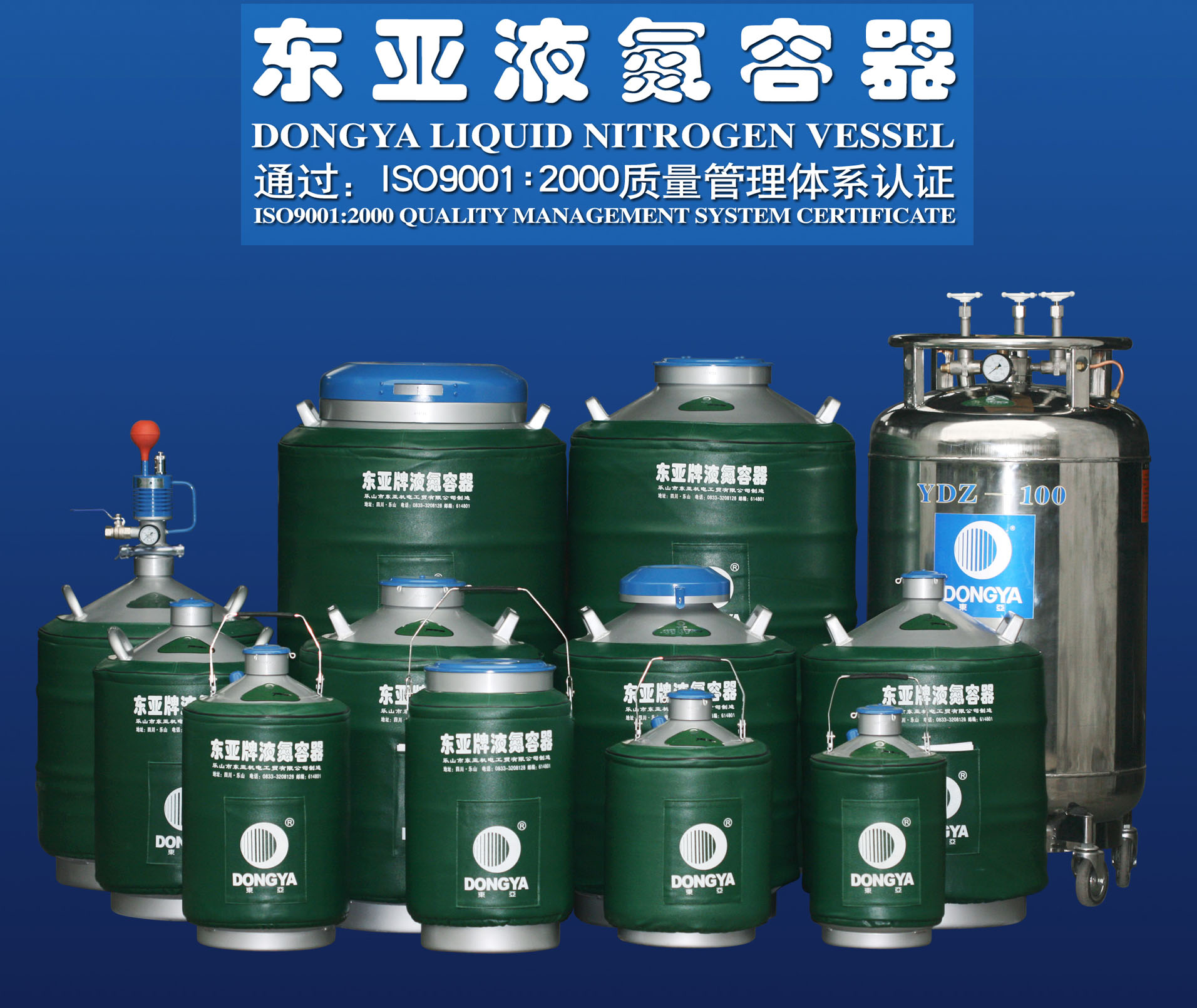 北京东亚液氮罐办事处大口径125 200冻存系列