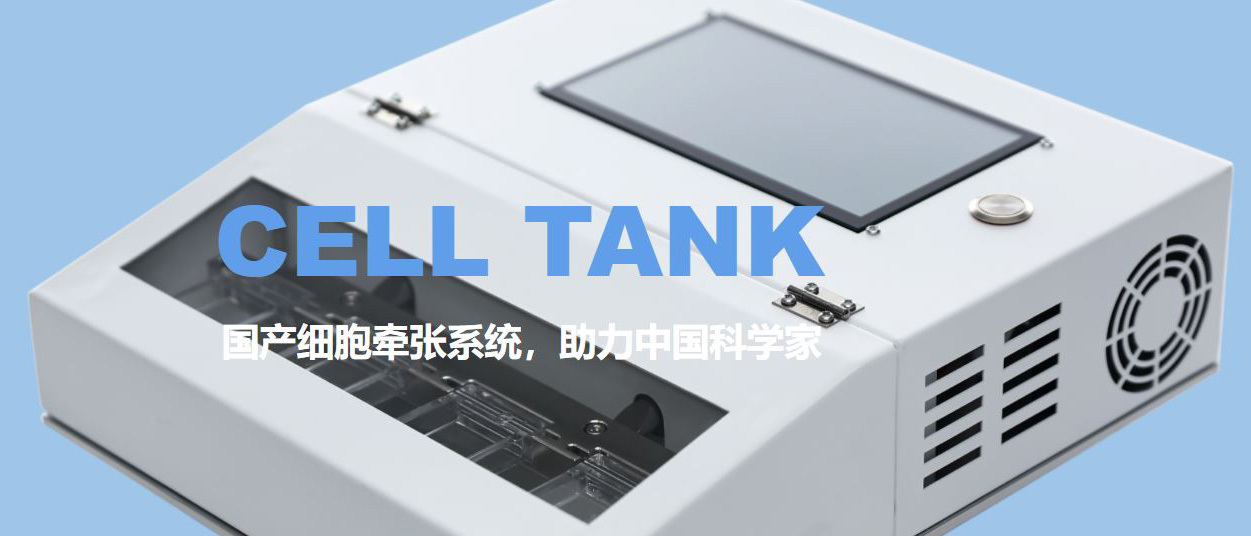 牵张拉伸培养组织系统