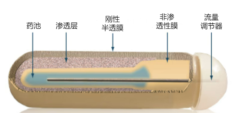 Alzet Osmotic Pump 2ML2给药泵