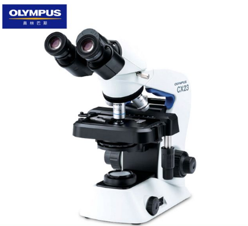 Olympus显微镜
