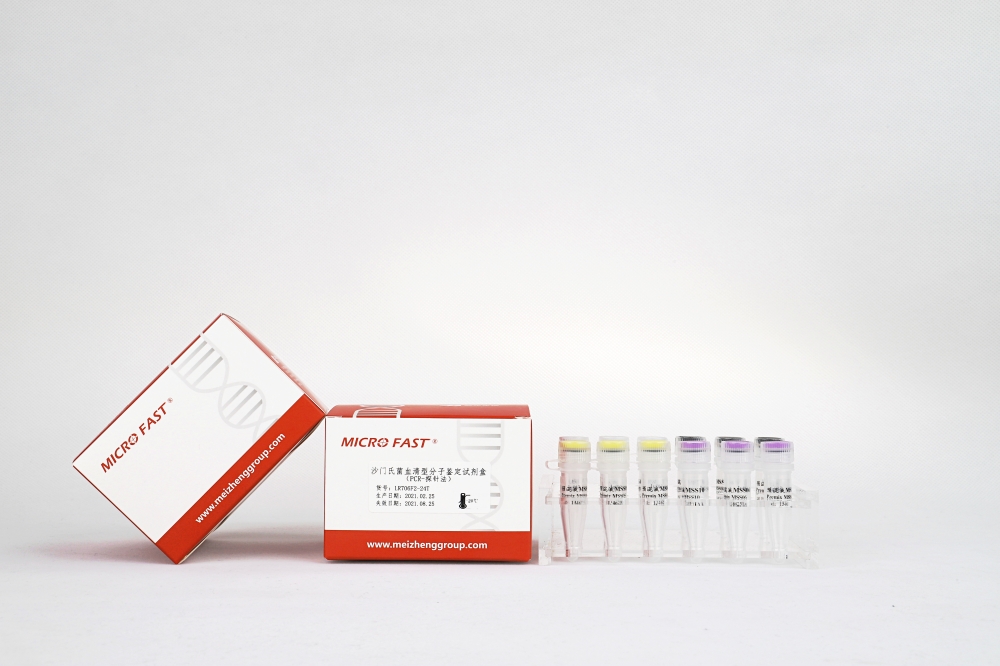 甲型肝炎病毒核酸检测试剂盒（RT-PCR探针法，含MS2）