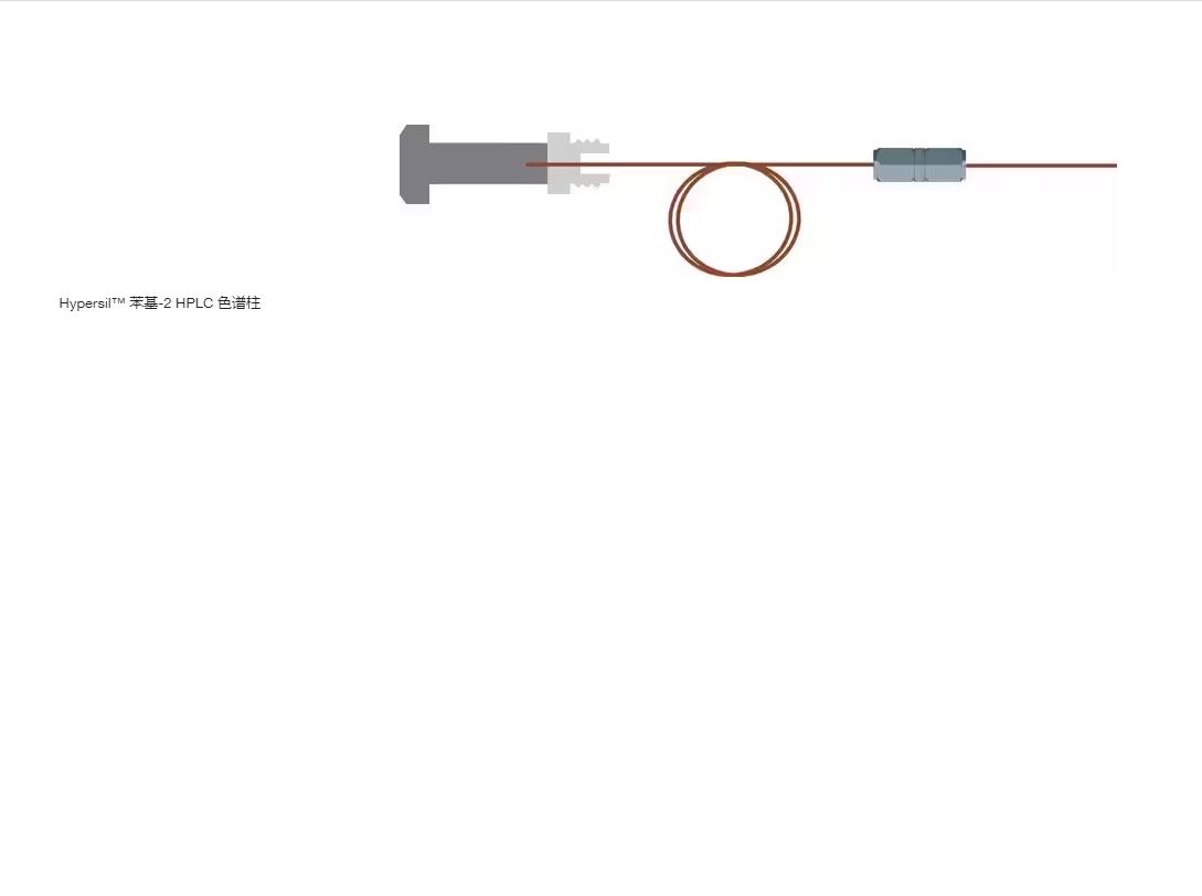 赛默飞分析柱250x4.6mm 5um Hypersil  HPLC 色谱柱 31905-254630