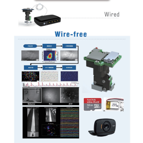 有线/无线超微钙离子成像系统