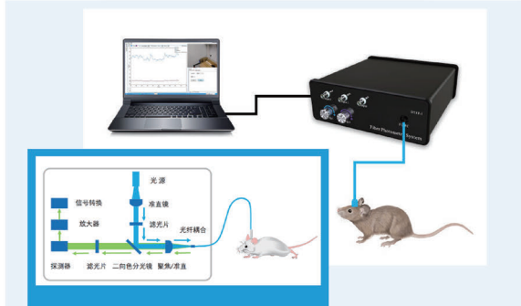 光纤记录系统