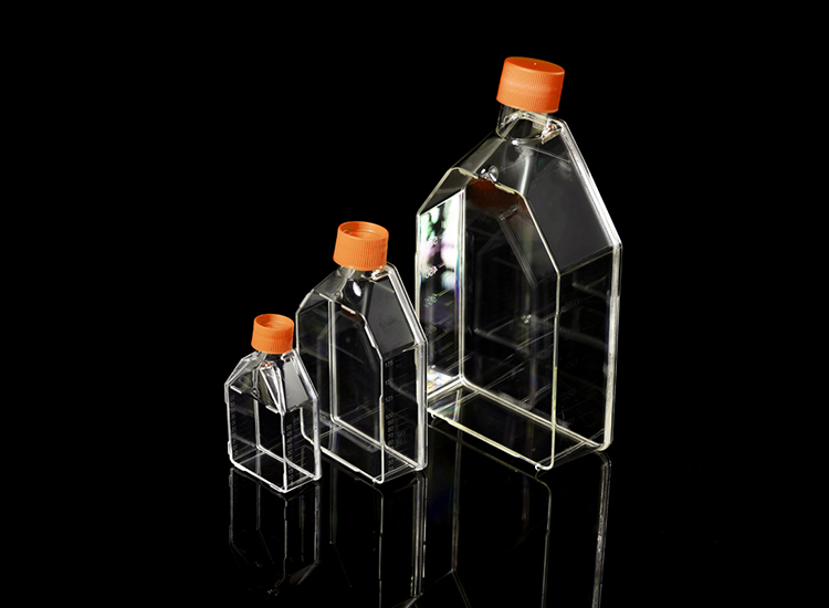 T75细胞培养瓶，透气盖 等离子 TC处理