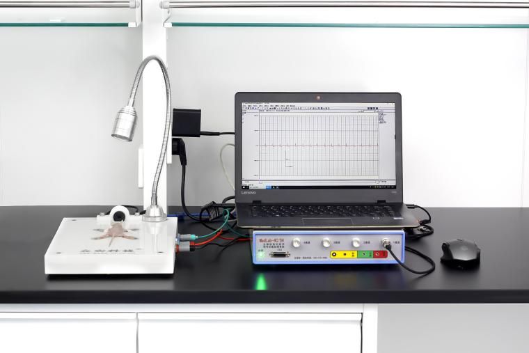 大小鼠心电测试平台
