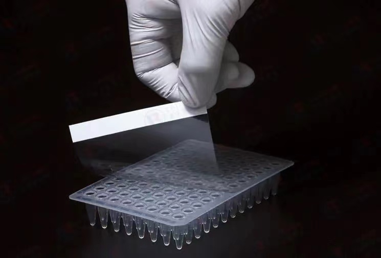 PCR封板膜，高透明压敏膜，盒装 康奥生物