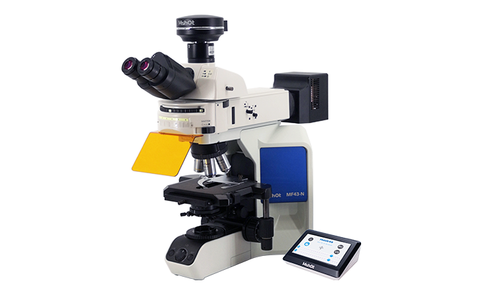 研究级正置荧光显微镜MF43-N
