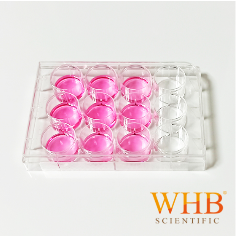 WHB TC处理标准透明平底细胞培养板