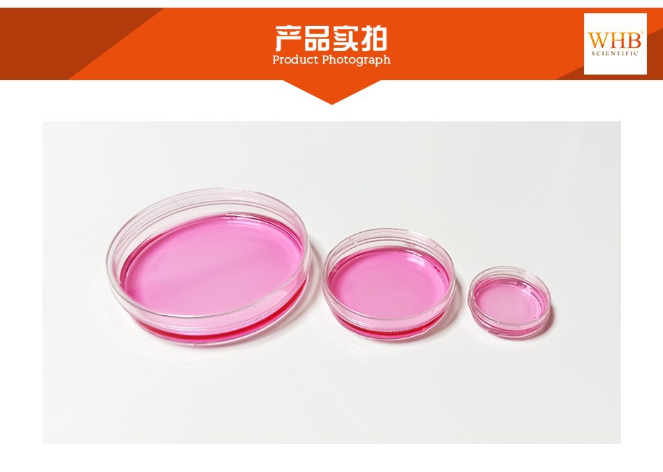 WHB TC处理标准透明带边塑料细胞培养皿