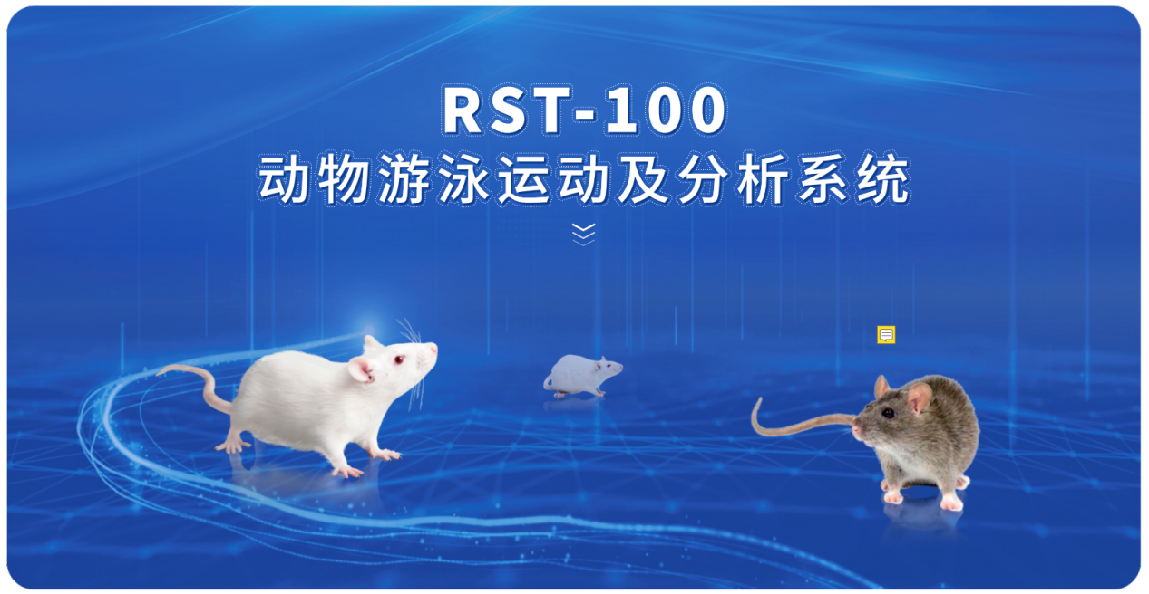 RST-100动物游泳运动及分析系统