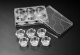 巴罗克灭菌悬挂式细胞培养小室透明 12小室12孔1板 PET 37012