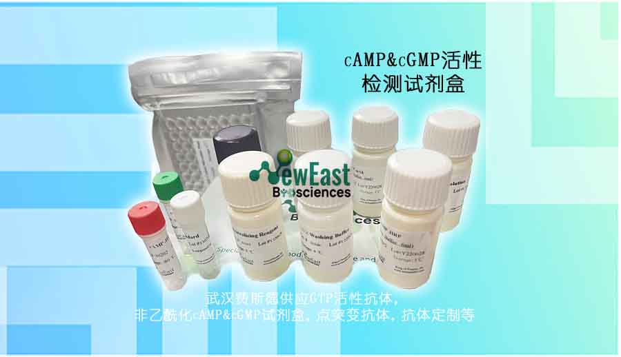 非乙酰化CGMP ELISA试剂盒