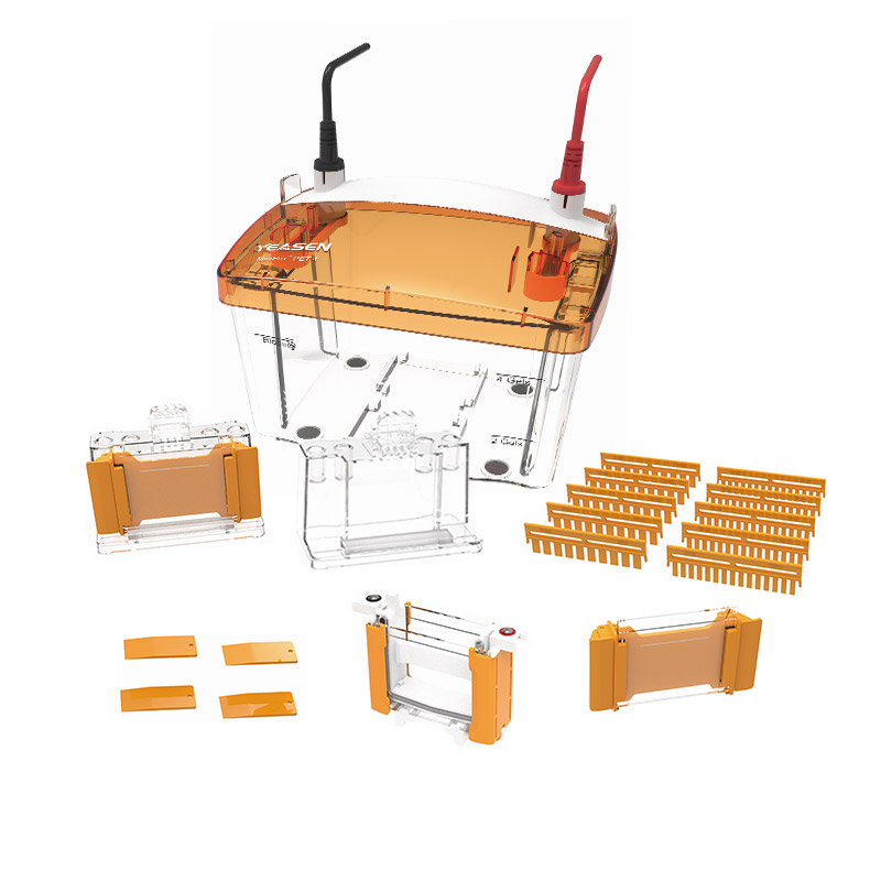 PET2迷你垂直电泳槽（1.5 mm）