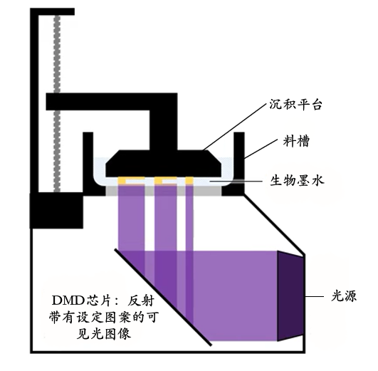 骨/软骨生物3D打印机