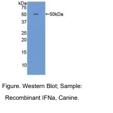 https://msimg.bioon.com/bionline/goods-no-pic.png