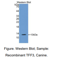 https://msimg.bioon.com/bionline/goods-no-pic.png