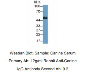 https://msimg.bioon.com/bionline/goods-no-pic.png