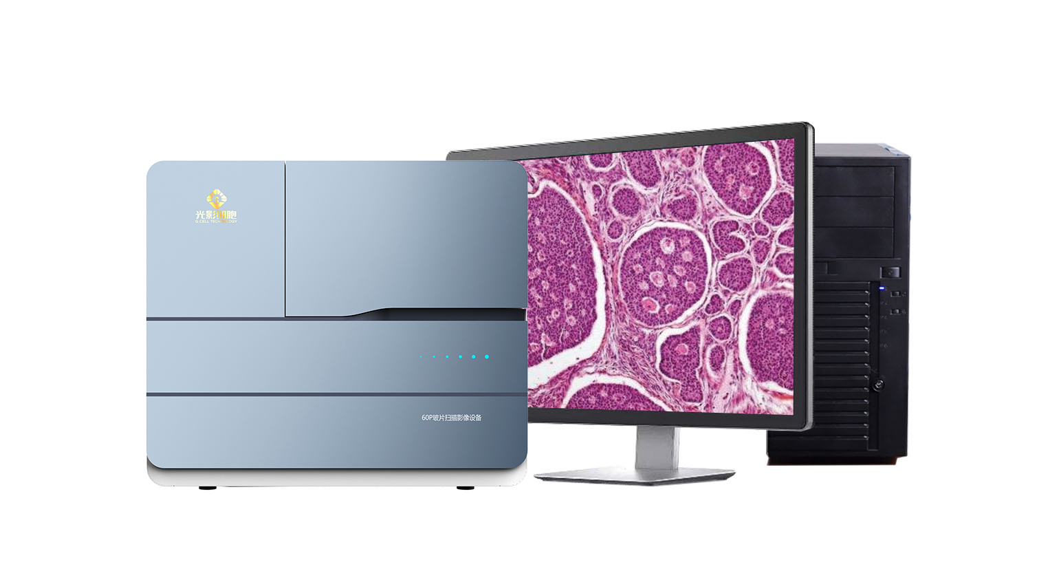 GScan-60 全自动数字玻片扫描仪 数字病理切片扫描系统 玻片扫描仪