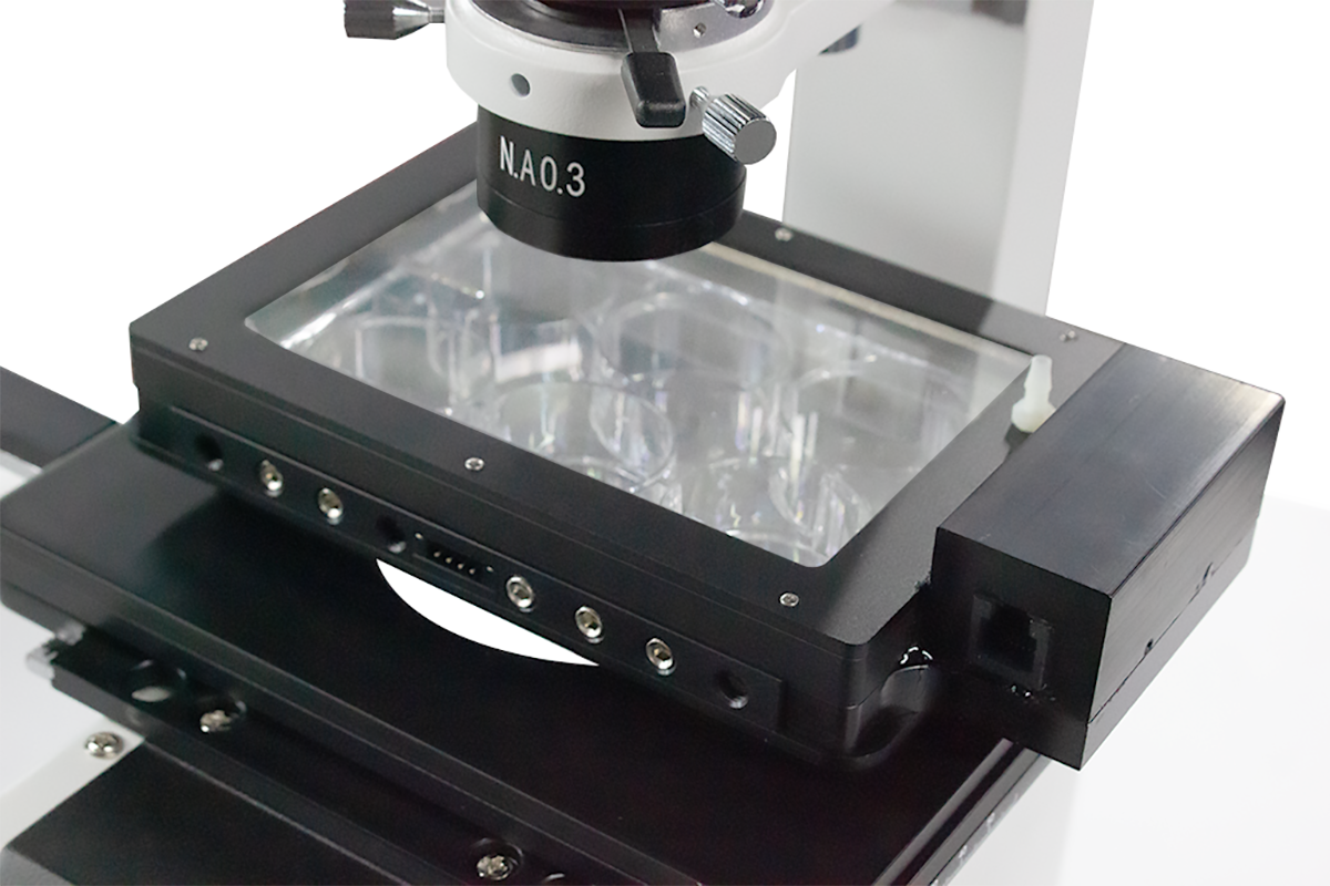 Bioscience Tools长期活细胞显微镜下培养