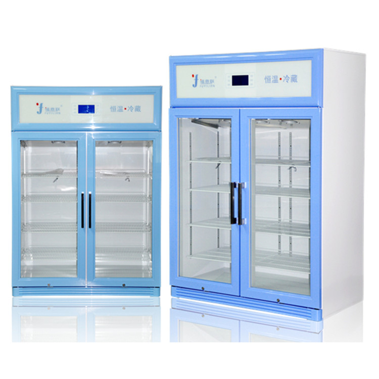 低温试剂保存箱 医用-20度冰箱 检验科双锁冰柜