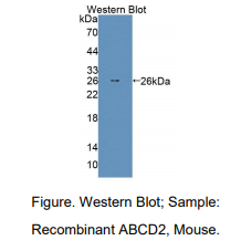 https://msimg.bioon.com/bionline/goods-no-pic.png