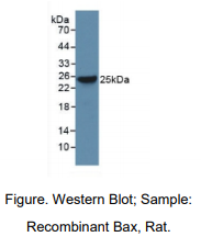 https://msimg.bioon.com/bionline/goods-no-pic.png