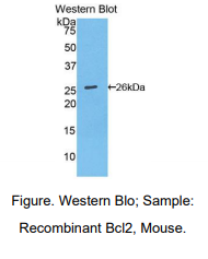 https://msimg.bioon.com/bionline/goods-no-pic.png