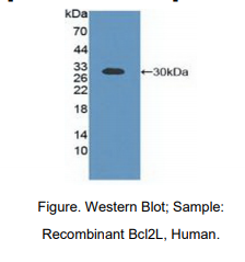 https://msimg.bioon.com/bionline/goods-no-pic.png