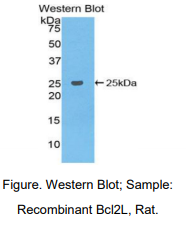 https://msimg.bioon.com/bionline/goods-no-pic.png