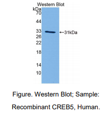 https://msimg.bioon.com/bionline/goods-no-pic.png