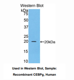 https://msimg.bioon.com/bionline/goods-no-pic.png