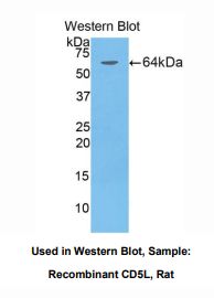 https://msimg.bioon.com/bionline/goods-no-pic.png