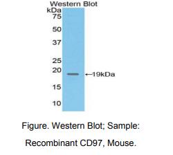 https://msimg.bioon.com/bionline/goods-no-pic.png