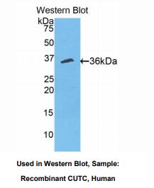 https://msimg.bioon.com/bionline/goods-no-pic.png