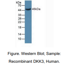 https://msimg.bioon.com/bionline/goods-no-pic.png