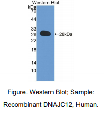 https://msimg.bioon.com/bionline/goods-no-pic.png