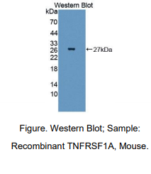 https://msimg.bioon.com/bionline/goods-no-pic.png